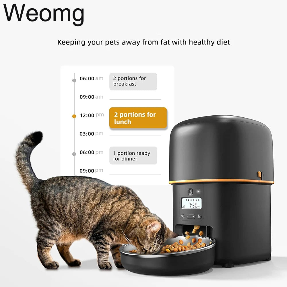 🍽️ 2L Automatic Pet Feeder with Voice Recording & Smart Reminders – Stainless Steel Bowl